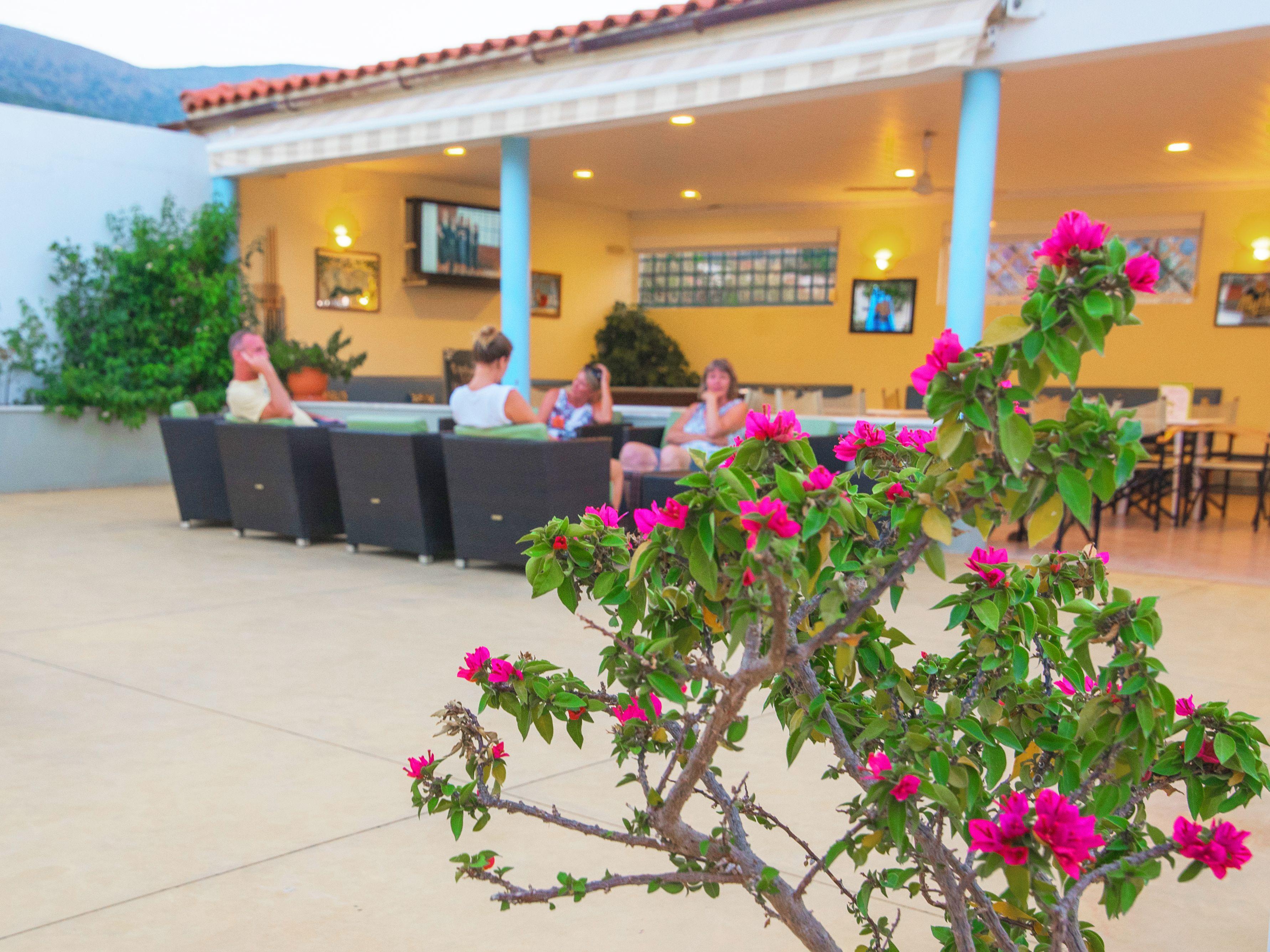 Melissa Apartments, Studios & Suites Malia  Exterior photo